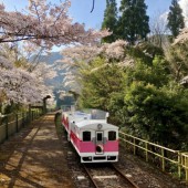 Chuyến tàu ngắm cảnh chạy bằng nước súp Ramen